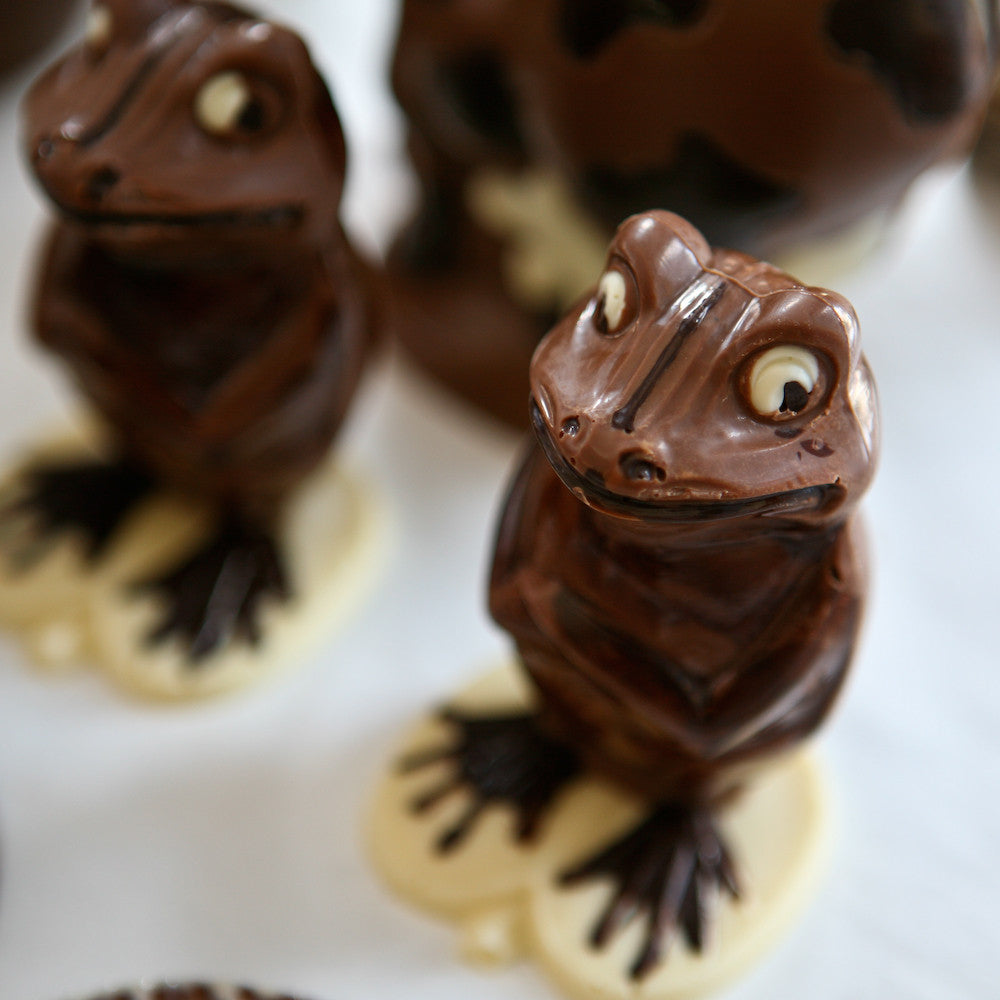 Chocolate Making Course Frog Mould