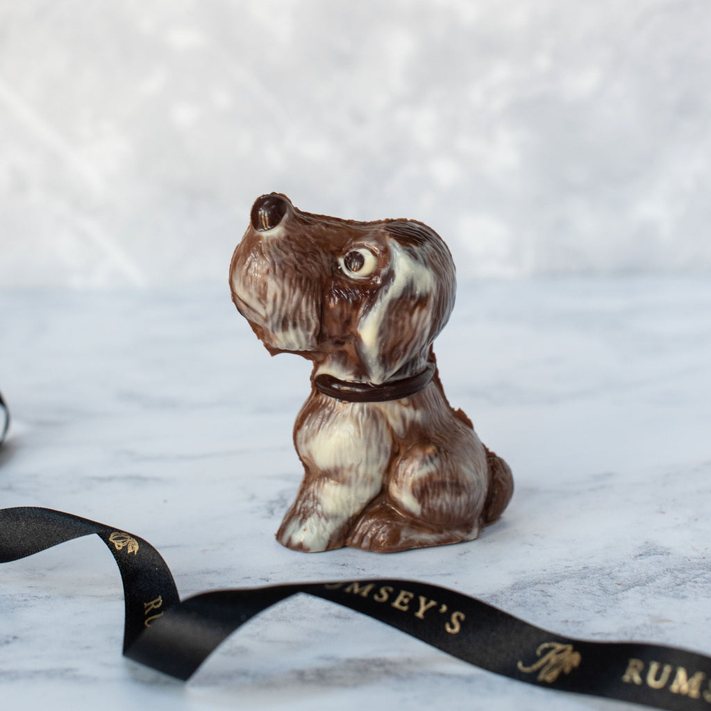 Artisan chocolate animal dog