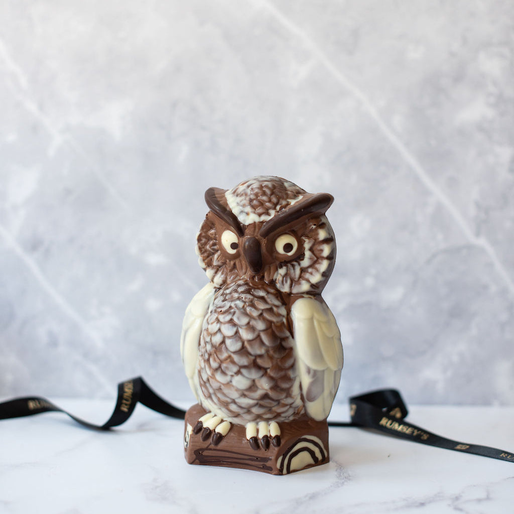 Beautiful thick milk chocolate owl, decorated with white and dark chocolate